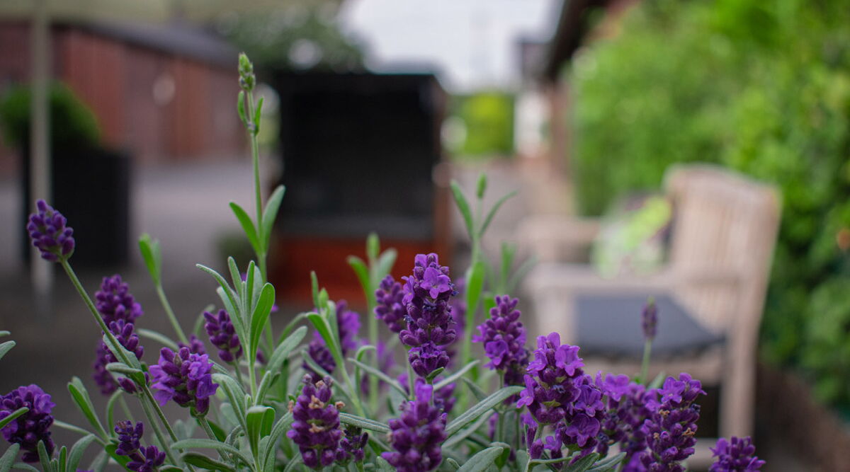 Landgasthof Enck - Wirtschaft